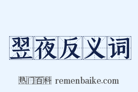翌夜反义词是什么意思的图片